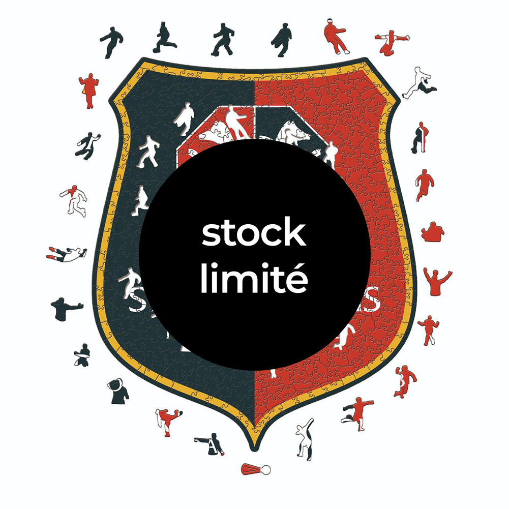 Rennes - Puzzle di Legno